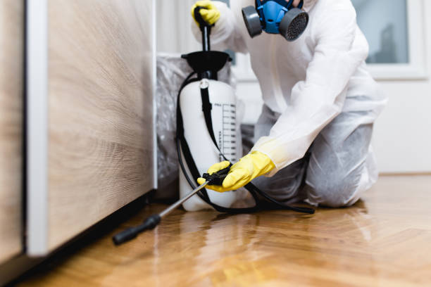 Best Cockroach Control Services  in Worthgton, IN