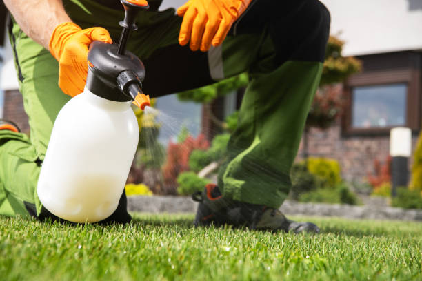 Insect Control in Worthington, IN