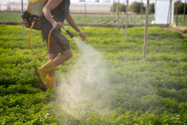 Best Wasp Removal Services  in Worthgton, IN