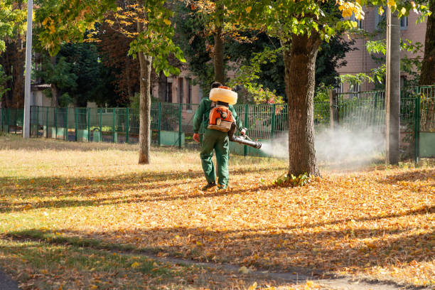 Best Wildlife Control Services  in Worthgton, IN