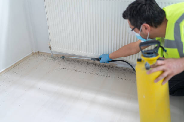  Worthgton, IN Pest Control Pros