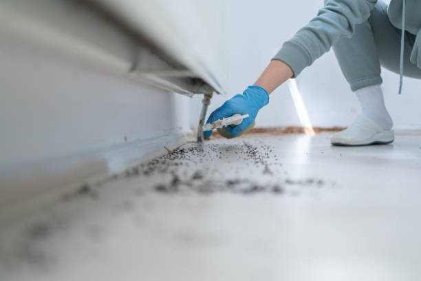 Pest Prevention Services in Worthington, IN